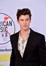 Shawn Mendes Royalty Free Stock Photo