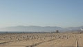 LOS ANGELES CA USA - 16 NOV 2019: California summertime Venice beach aesthetic. Sea gulls on sunny california coast, iconic retro