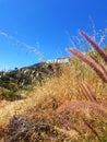 Los angeles california city Hollywood sky sun