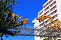 Los Angeles, California: The Dragon Gate of Chinatown