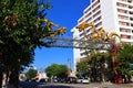 Los Angeles, California: The Dragon Gate of Chinatown