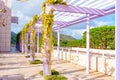 Los Angeles, California - January 6, 2023: Purple Pergola Covered with White Blossoming Wisteria at the Getty Center
