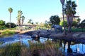 Los Angeles, California Ã¢â¬â LA BREA TAR PITS & Museum, one of the world`s most famous fossil excavation sites