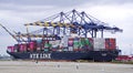 Container ship NYK Virgo being loaded by gantry cranes in the Port of Los Angeles, California Royalty Free Stock Photo