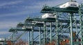 An array of shipping terminal gantry cranes in the Port of Los Angeles, California load and unload ships for export and import ope Royalty Free Stock Photo