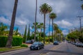 Los Angeles, California, USA, JUNE, 15, 2018: Palm trees street in Beverly Hills and cars circulating in the roads of Royalty Free Stock Photo