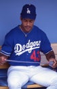 Raul Mondesi