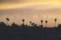 Los Angeles downtown silhouette at sunset. LAX most famous city of california. Typical view of the Los Angeles