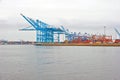 LOs Angeles Harbor Cranes and Containers Royalty Free Stock Photo