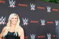 WWE For Your Consideration Event