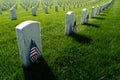 Los Angeles National Cemetery Royalty Free Stock Photo
