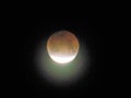 Los Angeles Partial Lunar Eclipse Royalty Free Stock Photo