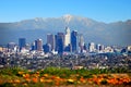 Downtown Los Angeles and Mt Baldy