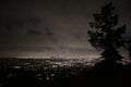 Los Angeles skyline - Night Time Panorama with view of tree branches Royalty Free Stock Photo