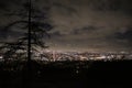 Los Angeles skyline - Night Time Panorama with view of tree branches Royalty Free Stock Photo