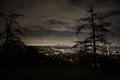 Los Angeles skyline - Night Time Panorama with view of tree branches Royalty Free Stock Photo