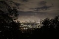 Los Angeles skyline - Night Time Panorama with view of tree branches Royalty Free Stock Photo