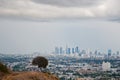 Los Angeles skyscrapers