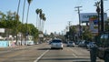Los Angeles streets - traffic jam, Street billboards, palm trees and LA skyline