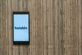Tumblr logo on smartphone screen on wooden background.