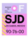 Los Cabos airport luggage tag