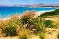 Los Cabos Beach, Mexico Royalty Free Stock Photo