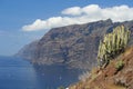 Los Gigantes, Tenerife, Spain