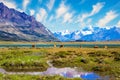 Los Glaciares in Argentina