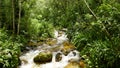 Los jardines de Mandor, Machupicchu Pueblo, Peru Royalty Free Stock Photo