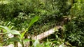 Los jardines de Mandor, Machupicchu Pueblo, Peru Royalty Free Stock Photo