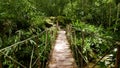 Los jardines de Mandor, Machupicchu Pueblo, Peru Royalty Free Stock Photo