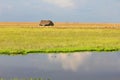 Los Llanos, Venezuela