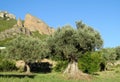 Los Mallos de Riglos unusual shaped red conglomerate rock formation in Spain Royalty Free Stock Photo