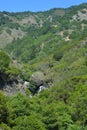 Los padres national forest redwood grove big sur california