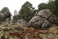 Los Picarazos 1,450 m., rock formations, Villaverde de Guadalimar, Sierra de Alcaraz y del Segura