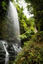 Los Tilos waterfall and national park at La Palma