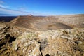 In los volcanes volcanic timanfaya rt flower bush Royalty Free Stock Photo