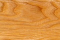 ÃÂ¡lose-up Ash Texture with natural wood grain patterns. Smooth wooden surface for the design of facades and floors. Clear polish. Royalty Free Stock Photo