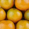 Lose-up image of group oranges Royalty Free Stock Photo