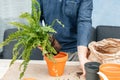 Close-up of a male gardener, florist transplanting a homemade fern into a clay pot. Hands holding home flower
