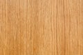 Ð¡lose-up Oak Texture with natural wood grain patterns. Smooth wooden surface for the design of facades and floors. Clear polish. Royalty Free Stock Photo
