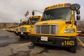 lose up selective focus frontal view of a school bus fleet at a parking lot. Royalty Free Stock Photo