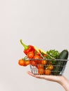 Hand holds shopping cart with vegetables Royalty Free Stock Photo