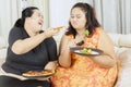 Happy fat woman teasing her fat sister on diet