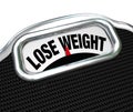 Lose Weight Words Scale Overweight Losing Fat Royalty Free Stock Photo