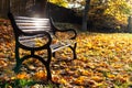 Loss Bereavement Concept Empty Park Bench Royalty Free Stock Photo