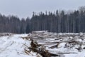 Loss of wood in logging