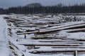 Loss of wood in logging