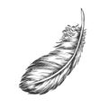 Lost Bird Outer Element Feather Monochrome Vector Royalty Free Stock Photo