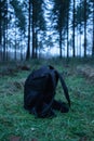 Lost black backpack on grassy forest ground.